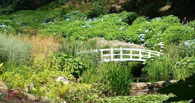 Giverny inspired bridge at Trebah Garden