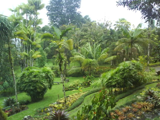 Wilson Botanic Park