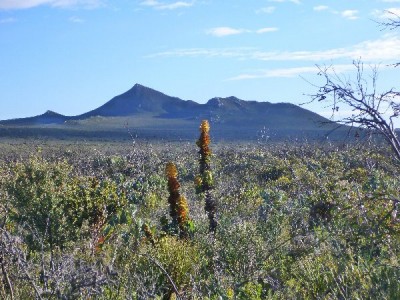 Badgingarra National Park, Western Australia