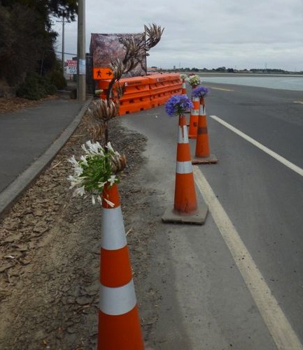 Christchurch bollard blooms