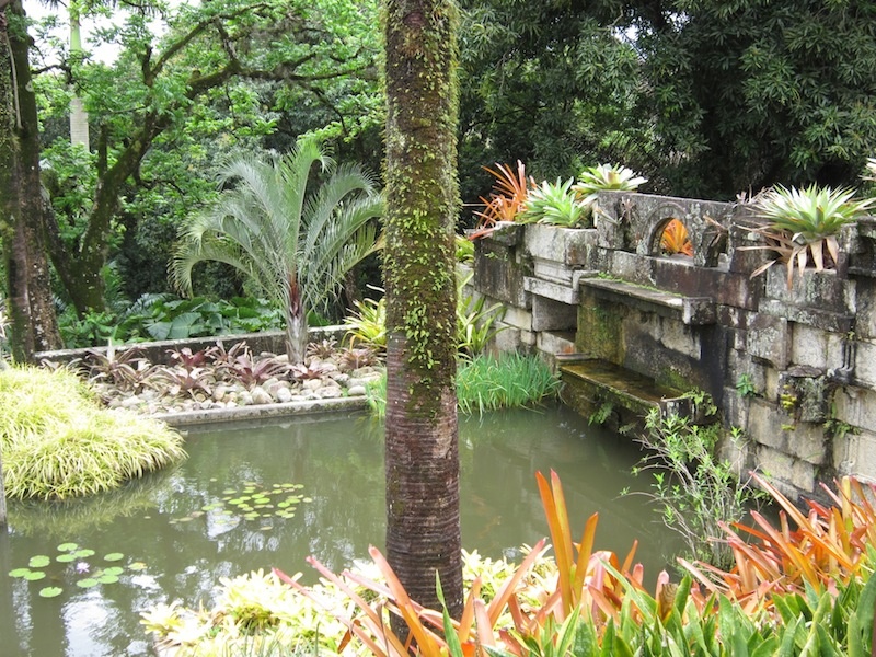 Pond of reclaimed granite blocks, surrounded with bromeliads