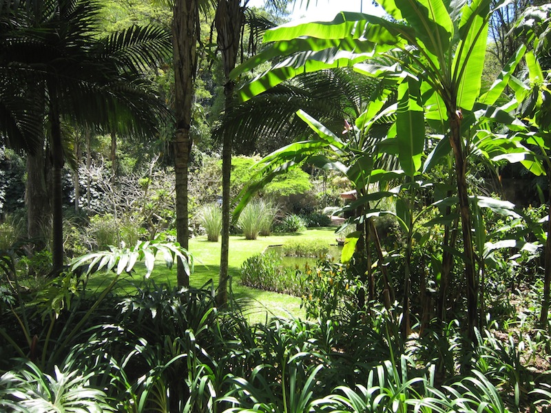 Burle Marx - Raul De Souza Martins garden