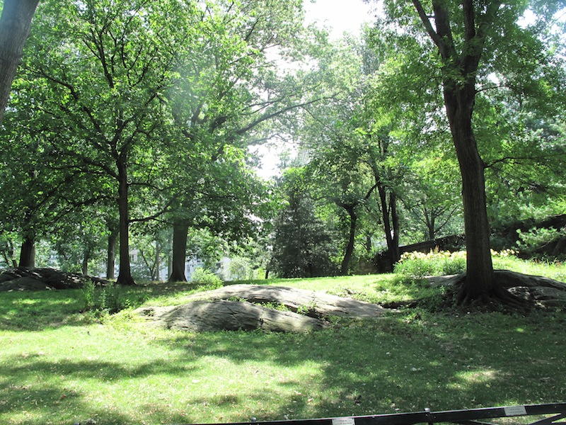 NYC Central Park - spacious and shady but still hot, hot hot.