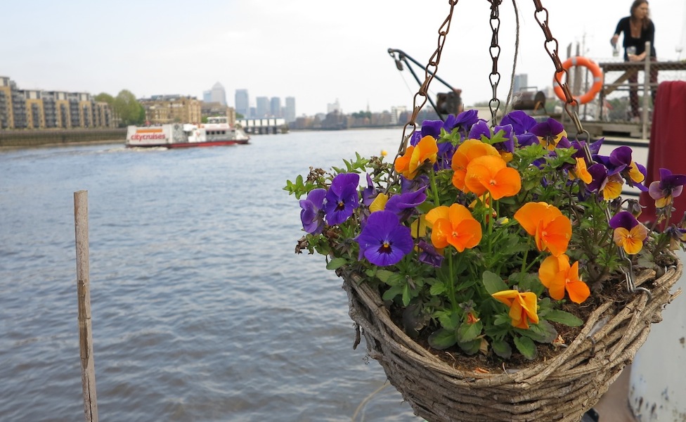 London Barge Garden