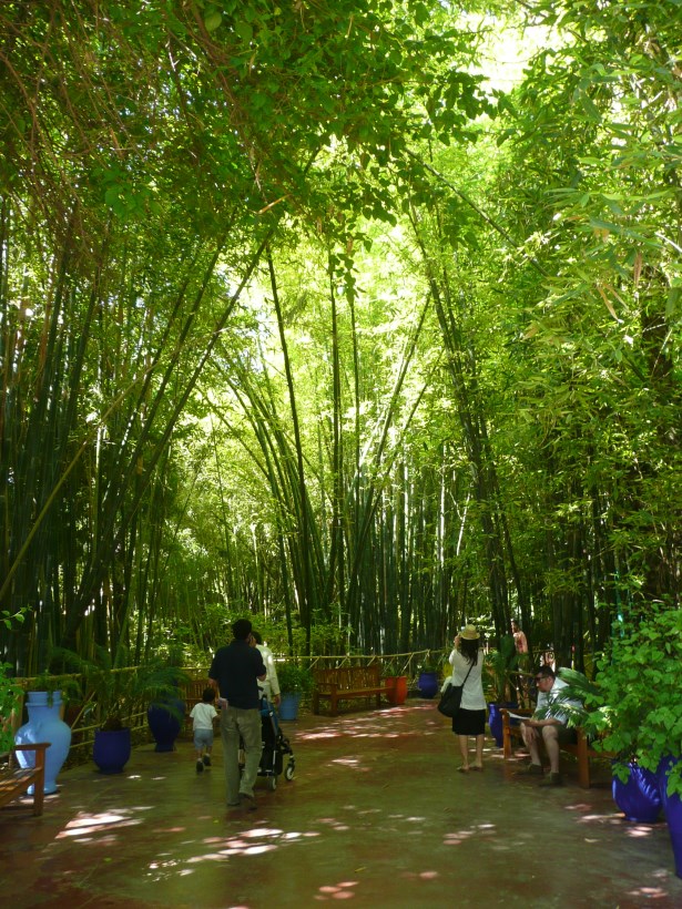 Jardin Majorelle Bamboo cathedral