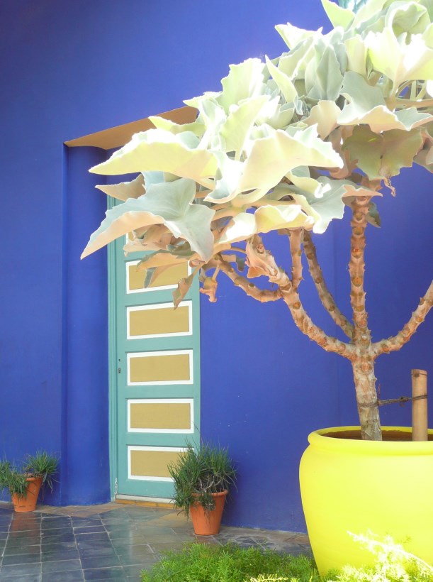 Jardin Majorelle - Majorelle blue with yellow pot