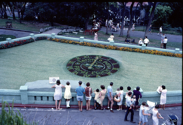 Taronga Park Floral Clock in Sydney, Australia 1967. Photo by Ken Hodge