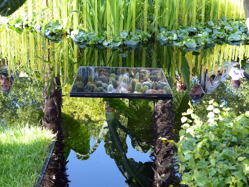 Chelsea Flower Show 2015 Fresh garden 'World Vision Garden: Grow Hope'. Design John Warland