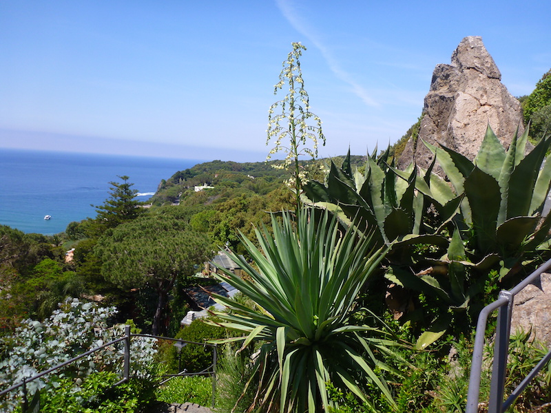 The Hill. Garden at La Mortella, Ischia, Italy