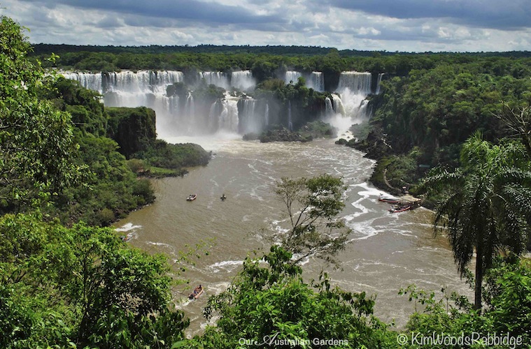 Iguazu Falls. Photo courtesy Kim Woods Rabbidge