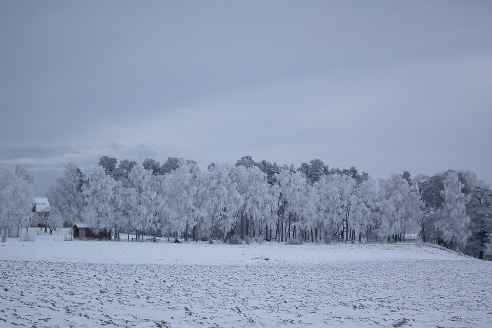 Sweden's landscape in winter