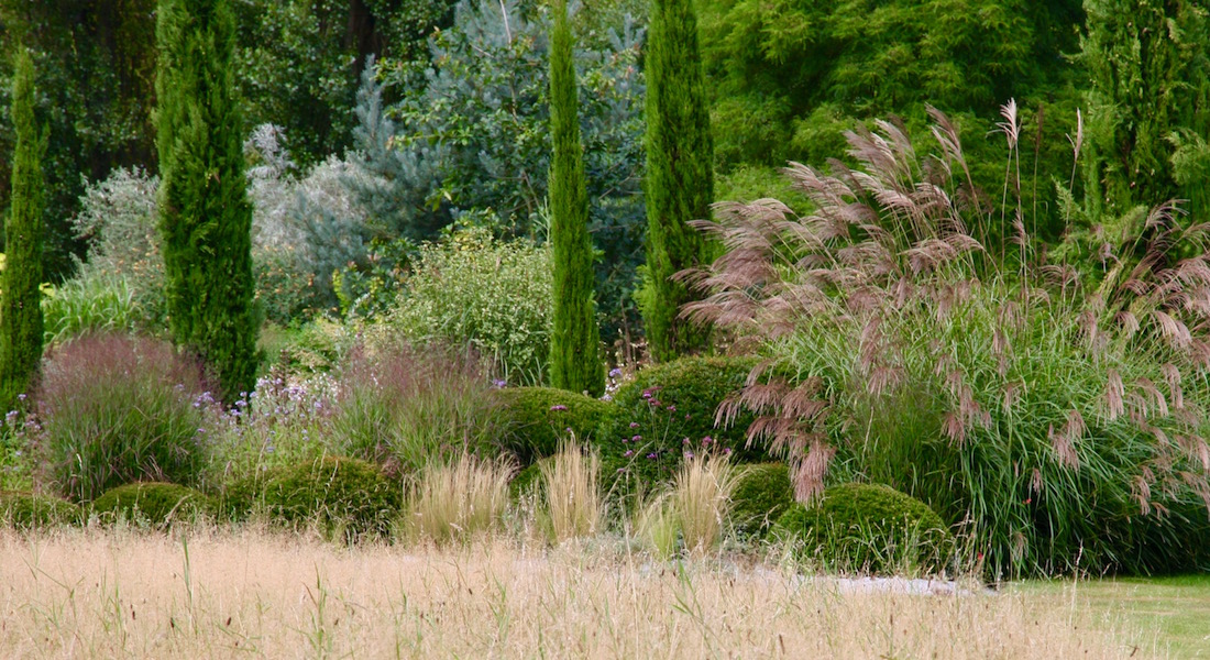 Hortvs, the garden of Peter Janke in Hilden. Photo courtesy Carolyn Mullet, Carex Tours
