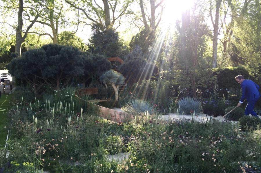 Nick Bailey doing early morning preparations in the Winton Beauty of Mathematics Garden. Design Nick Bailey