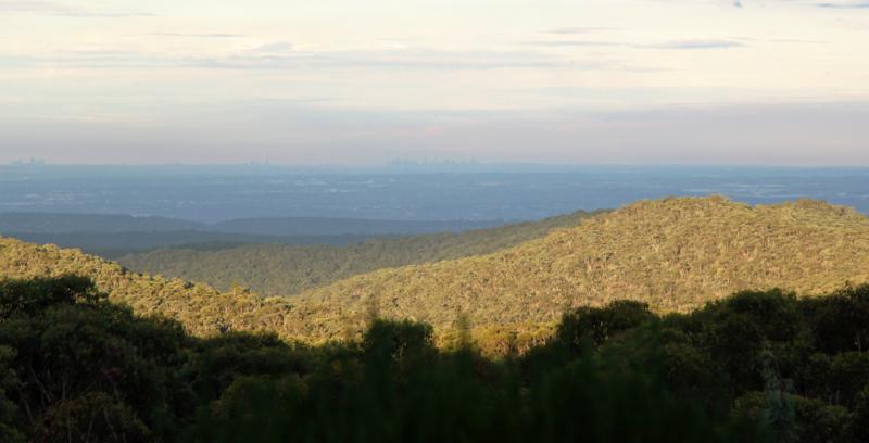 View from the Woodford Honey property - you can see all the way to the Sydney CBD