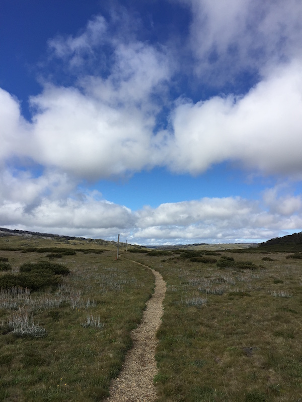 The wide-open sky and gently undulating alpine High Country, Victoria and southern NSW