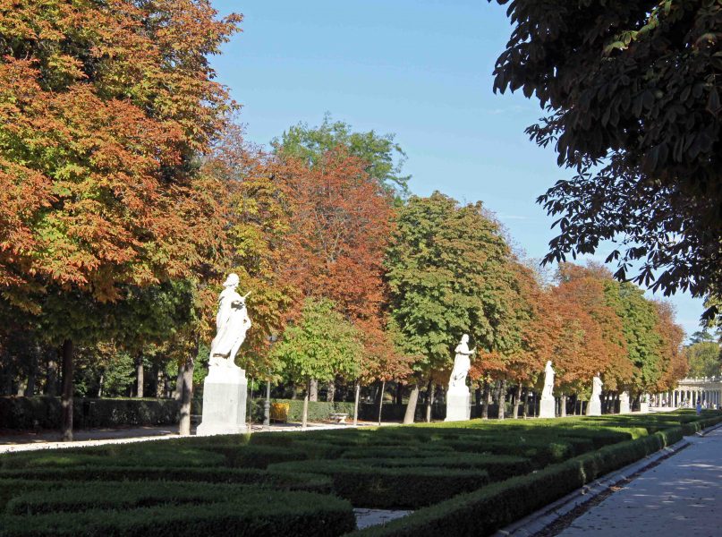 Madrid's Retiro Park autumn leaves and rich greens