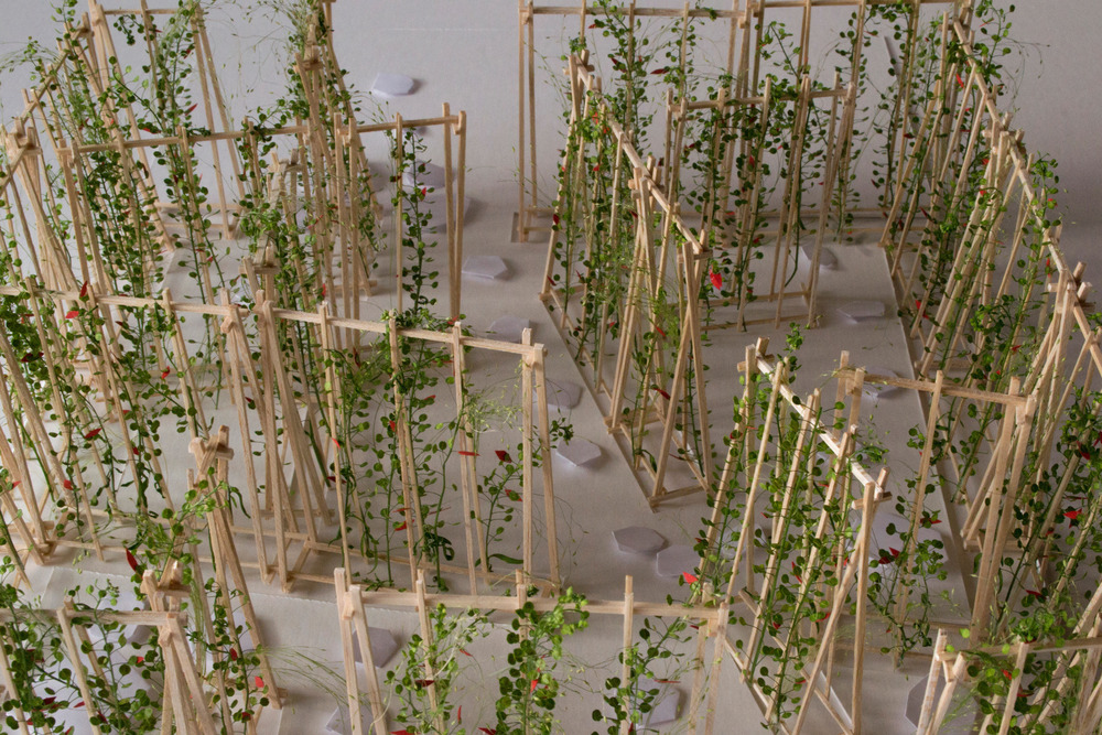 La maison de Jacques