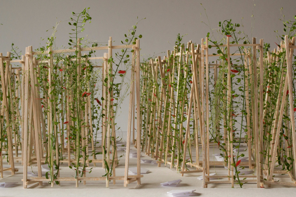 La maison de Jacques